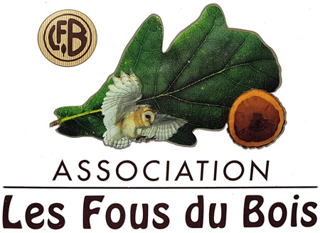 logo de l'association les fous du bois